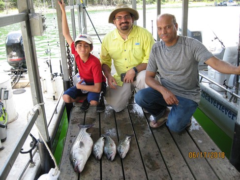 Nice Striped Bass